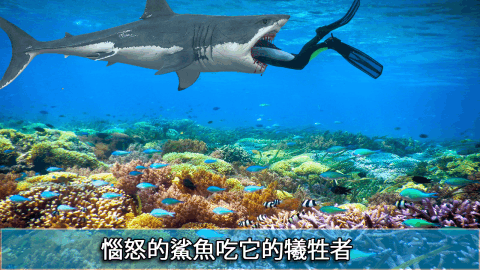 鲨鱼吃鲨鱼的游戏_4
