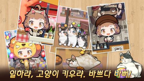 我的猫咪咖啡店九游_7