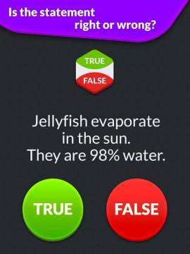 澪我的世界false文件下载_1