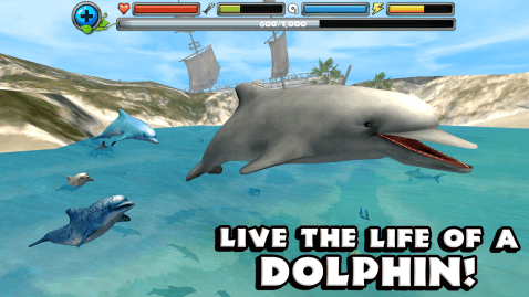免费海豚游戏_6