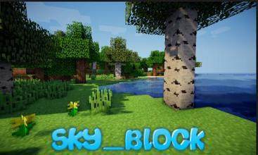 skyblock下载_6