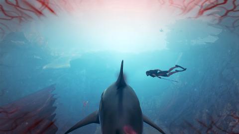 金鲨银鲨游戏机_2