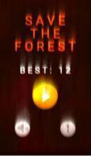 forest下载_1