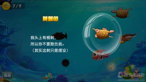 小丑鱼下载_7