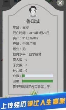 人生模拟下载安装_0