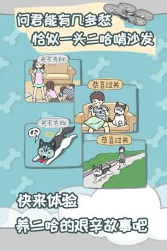 养只宠物的游戏_2