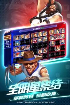 拳皇之幽炎冷月下载_5