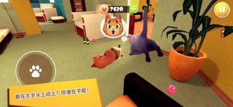 猫咪公寓3d游戏下载_0