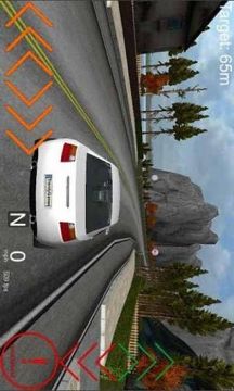 逃亡司机游戏下载_2