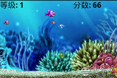 3d吃鱼的游戏_5