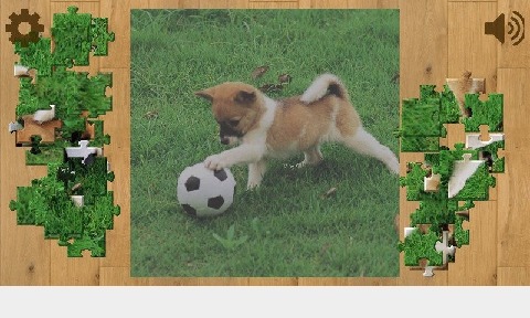 晴天小狗怎么和狗玩接球游戏_3