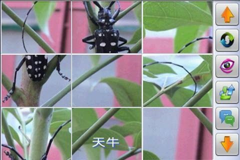 益智拼图手游大全集_8