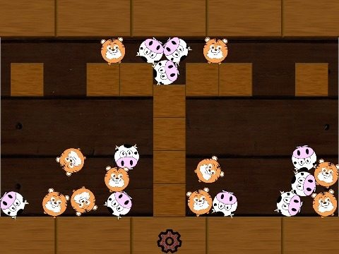 家的游戏_2
