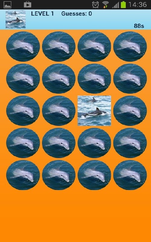 免费海豚游戏_7