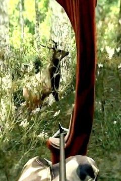 狩猎鹿下载_4