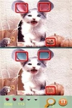 草猫系列_5