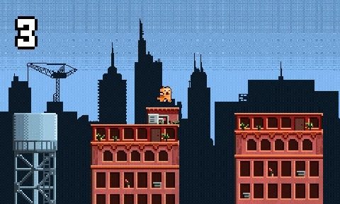 有cat游戏_6