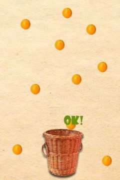 OranGe游戏大全_9