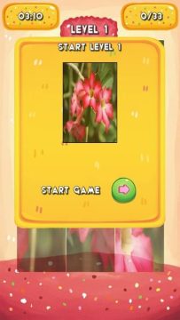 Rose游戏大全_2