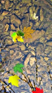 ripple下载_4