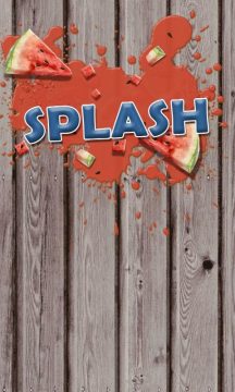 FlashLite3下载_8
