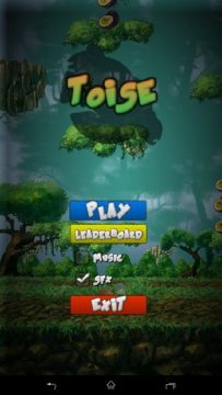 Toise_6