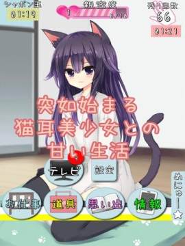 月光下的猫耳少游戏大全_2