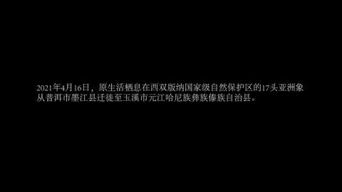 野象模拟器下载_6