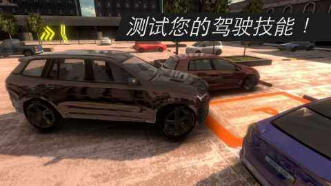 真正的大师游戏_9