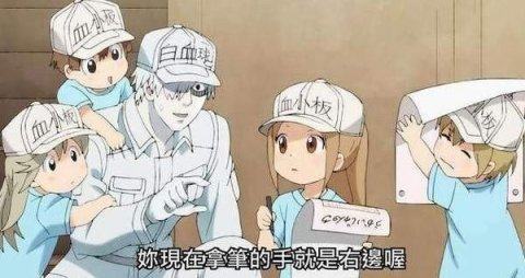 工作细胞大作战游戏下载_9