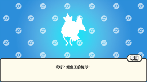 ds足球游戏_5