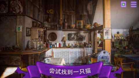 养了一只猫的游戏_0
