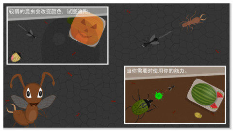 蚂蚁进化3d游戏_6