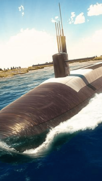 野熊模拟器下载_6