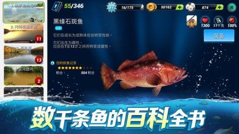 魔力大对决怎么下载安装_9