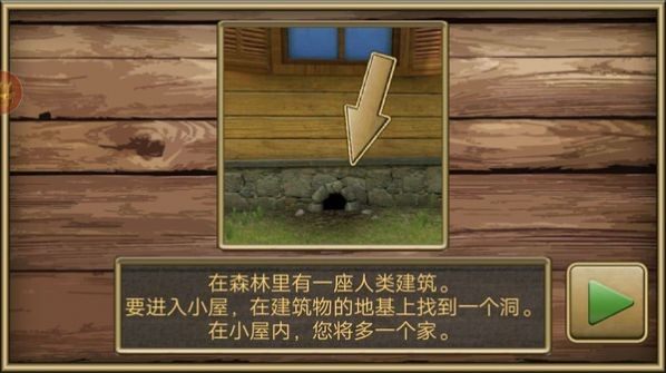 疯狂老鼠下载_5