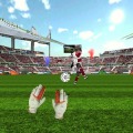 守门员的足球比赛3D