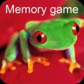 五顏六色的青蛙記憶遊戲