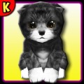 KittyZ，你的虚拟宠物