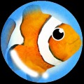 海底鱼运行