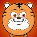 碰碰家