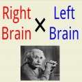 左，右大腦