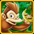 丛林猴子香蕉