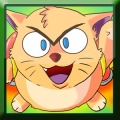 猫骑手