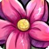 鲜花进化