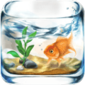 掌上水族馆