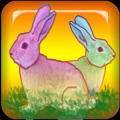 寻找简单而有趣的兔子游戏 Find Rabbits Game