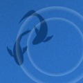 RipplePuzzle