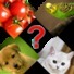 猜动物或植物