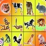 2048十二生肖